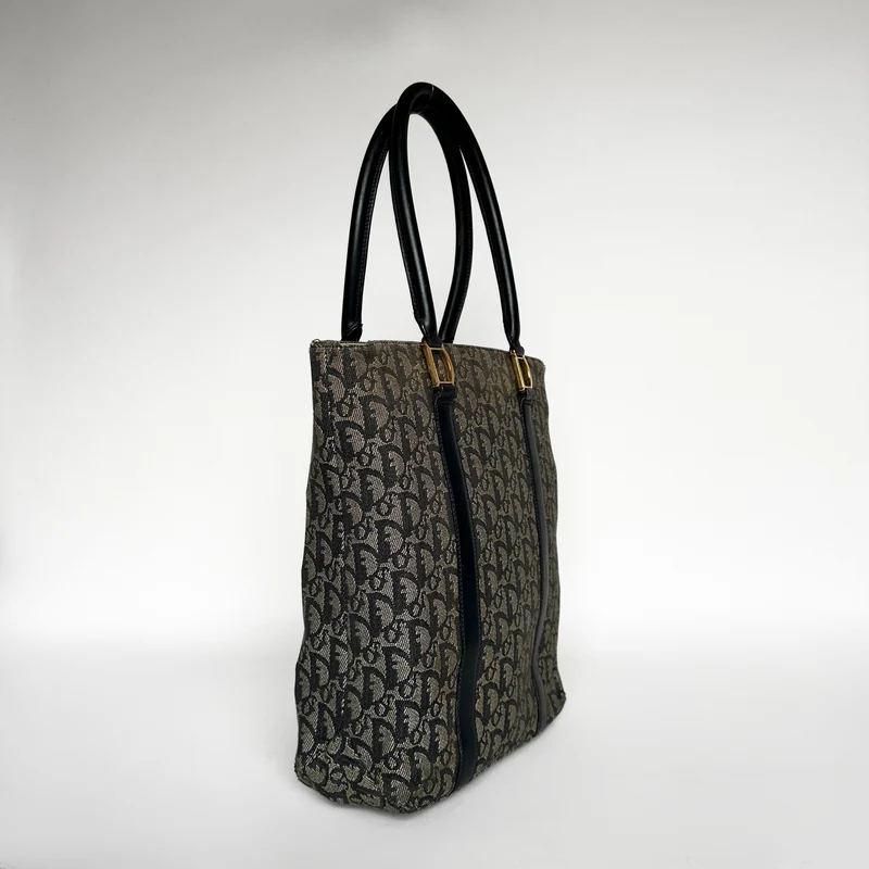 Dior Shopper Toile oblique