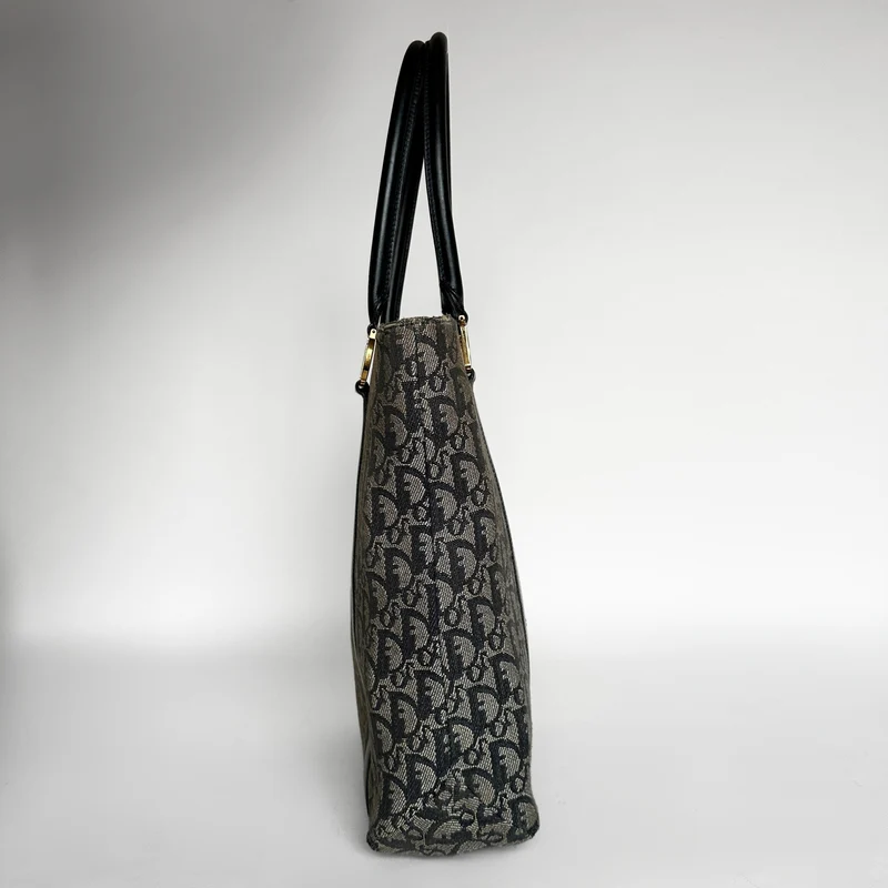 Dior Shopper Toile oblique