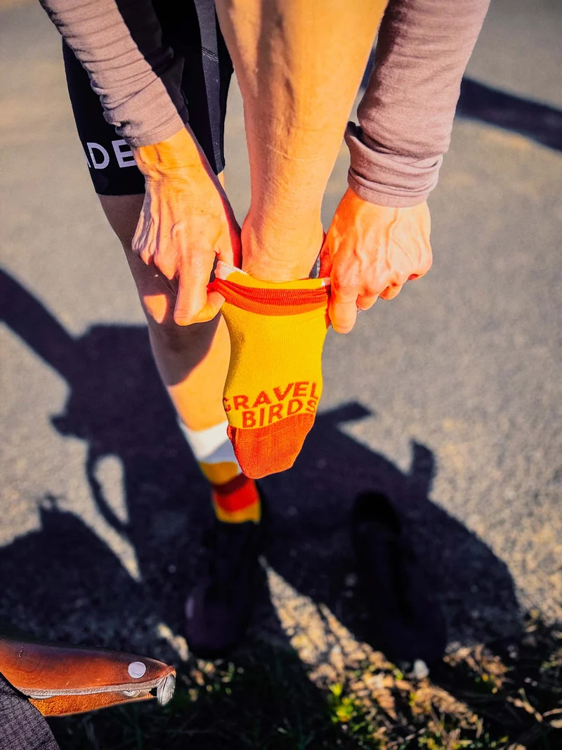 Chaussettes Velocidade X Gravel Birds