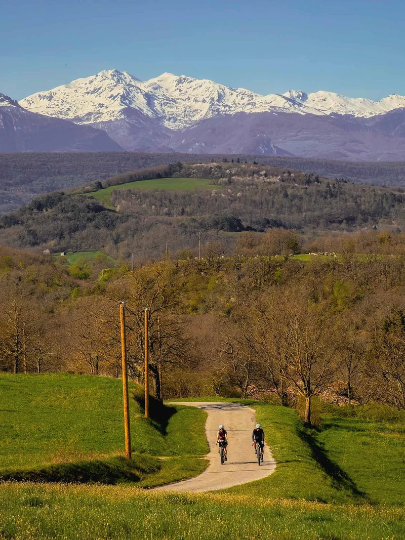 Chaussettes Velocidade X Gravel Birds