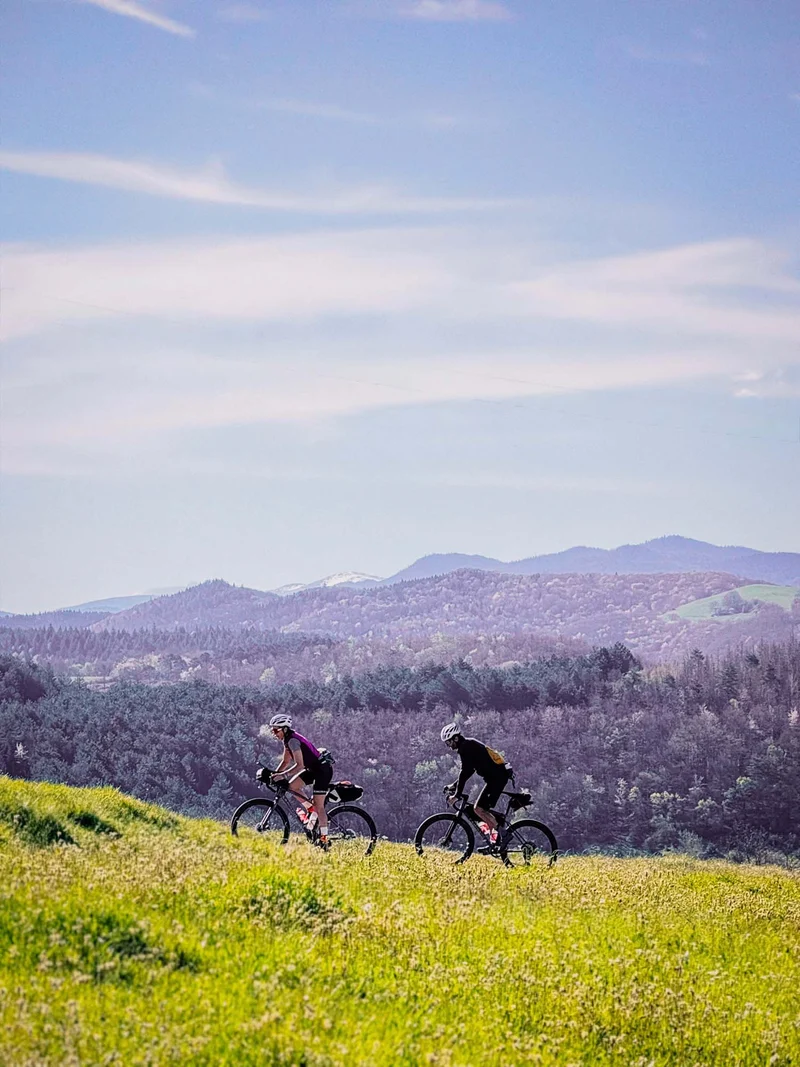 Chaussettes Velocidade X Gravel Birds