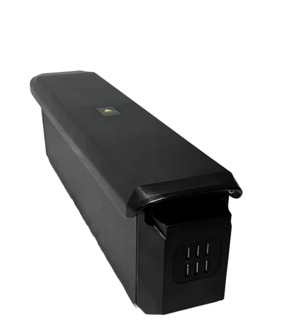 Batterie Shengmilo S600PRO/S700PRO 48V 25AH