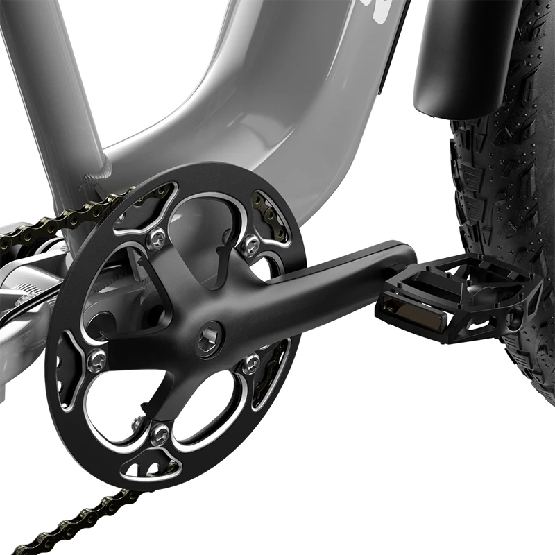 Vélo électrique à double moteur Shengmilo S600 2000W
