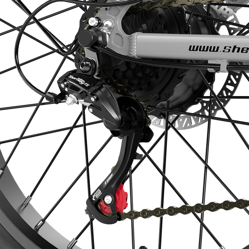 Vélo électrique à double moteur Shengmilo S600 2000W