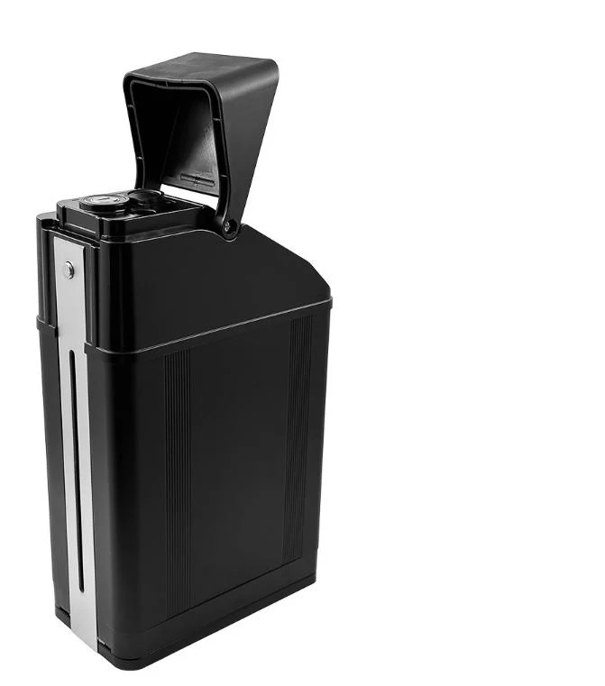 Batterie Shengmilo S900 / S900PRO | Batterie au lithium haute capacité 60 V 30 Ah / 35 Ah