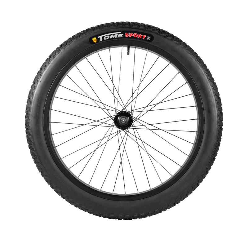 Roue avant 26*3.0