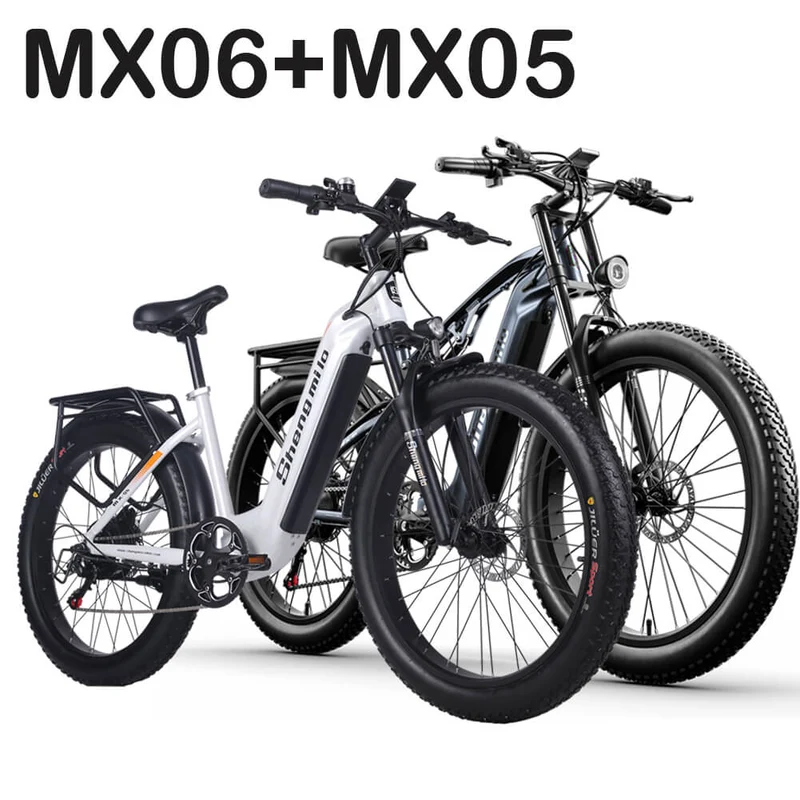 Ensemble Shengmilo MX06 + MX05