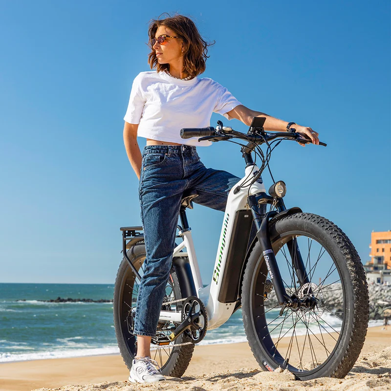 Shengmilo MX06 Step Through E-bike 48V 17.5AH SAMSUNG batterie 90KM