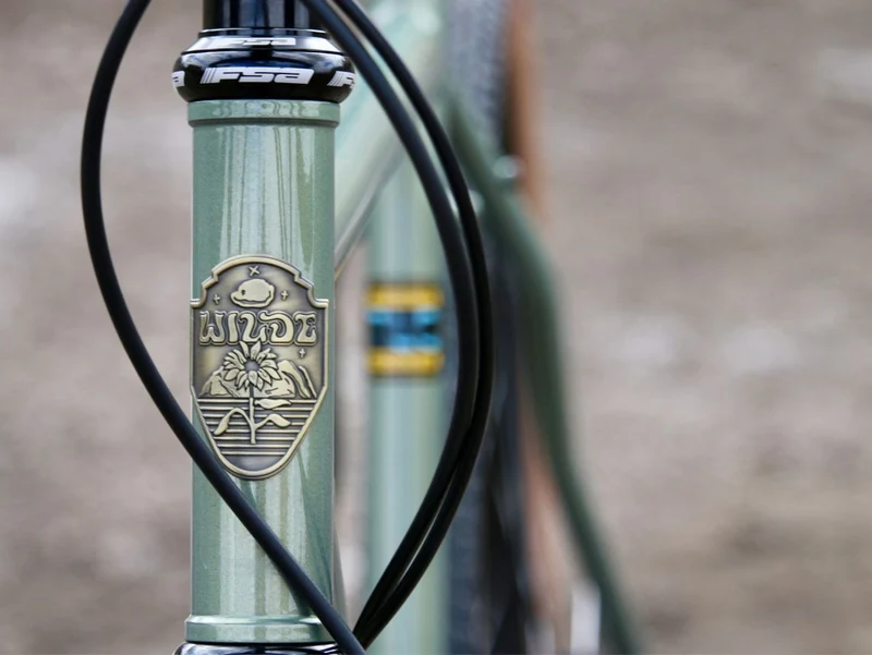 Wilde Rambler Frameset — Segmented Steel Fork, Sage Green Shimmer