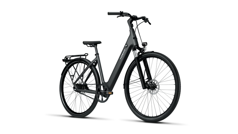 TENWAYS CGO800S electric city bike