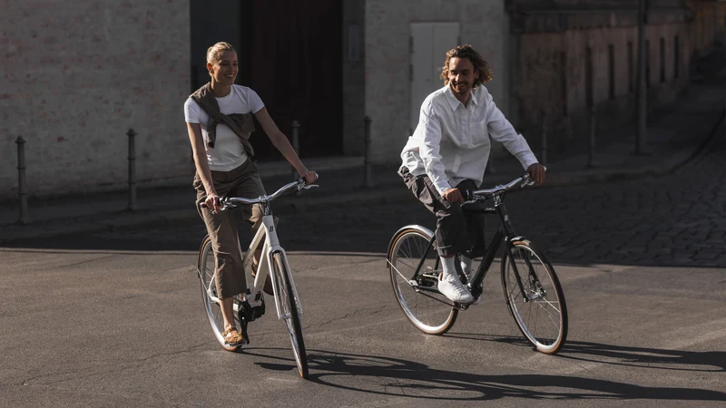 Schindelhauer Antonia Pinion VI women's electric urban bike