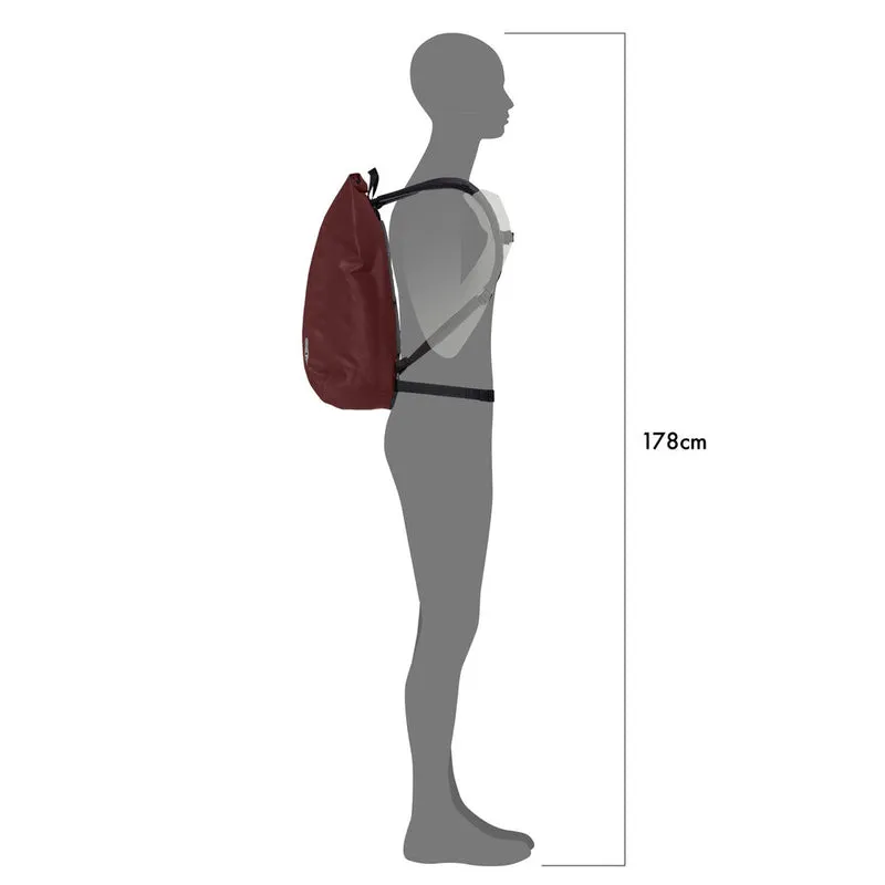 Ortlieb Velocity PS backpack