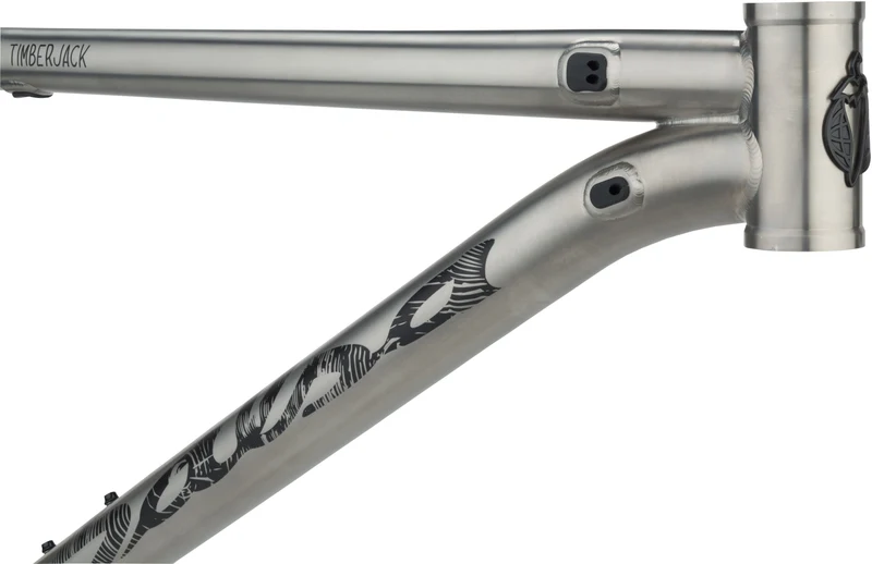Salsa Timberjack titanium mountain bike frame