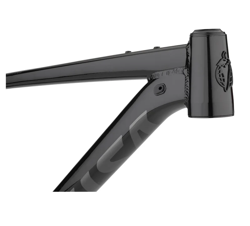 Salsa Timberjack Mountain Bike Frame