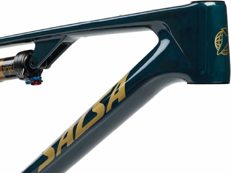 Salsa Spearfish Carbon Mountain Bike Frame