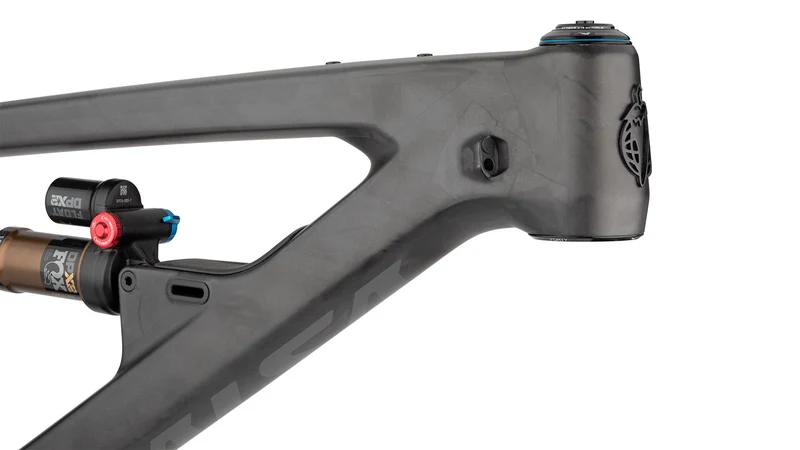 Salsa Blackthorn Carbon Mountain Bike Frame