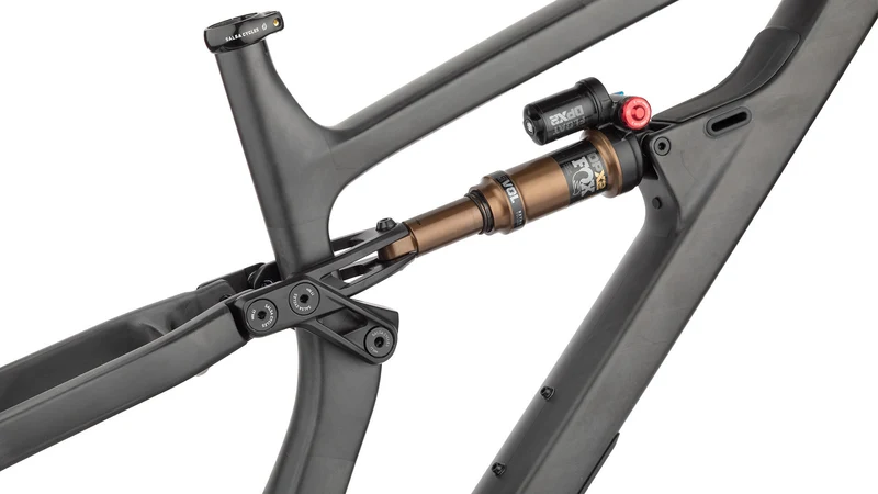 Salsa Blackthorn Carbon Mountain Bike Frame