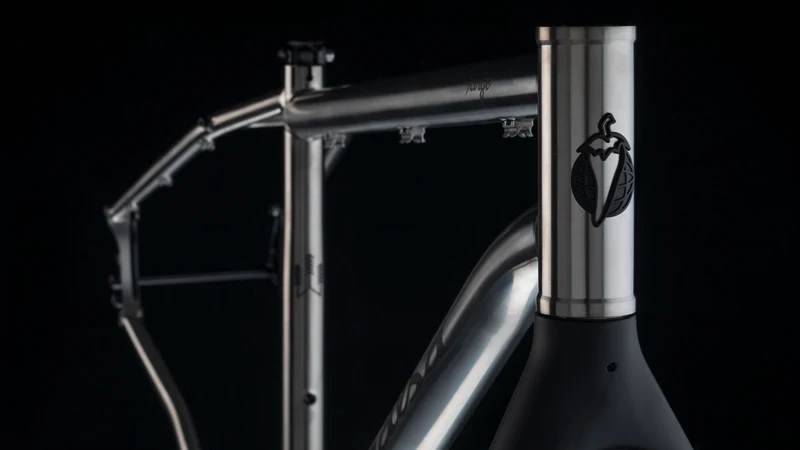 Salsa Fargo Ti Mountain Bike Frameset