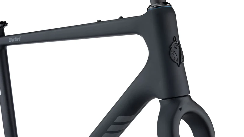 Salsa Warbird carbon gravel frame kit