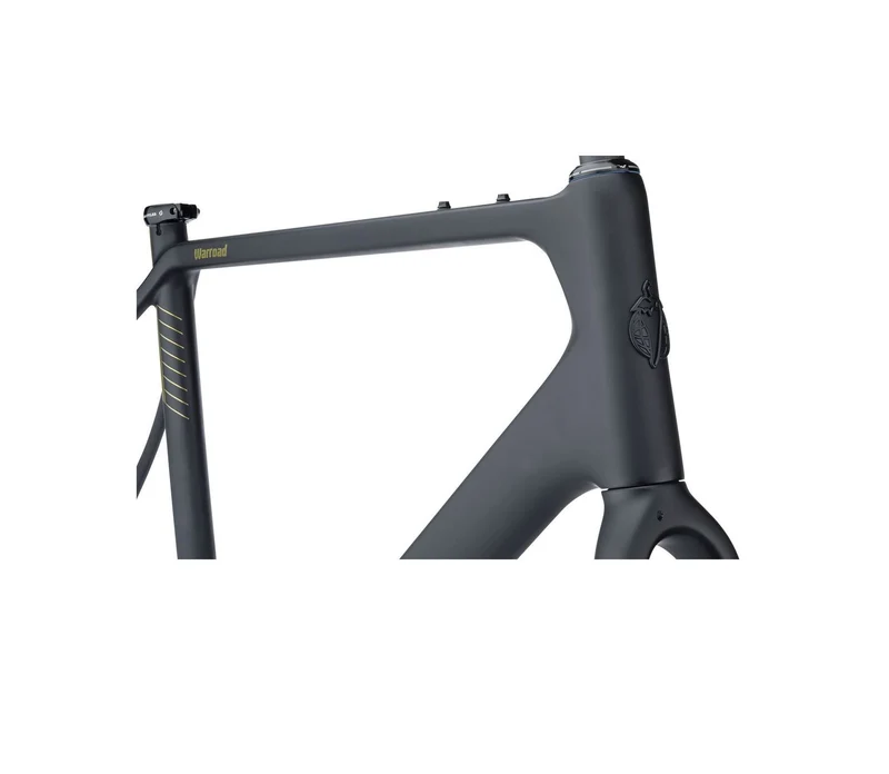 Salsa Warroad Carbon all-road frame kit