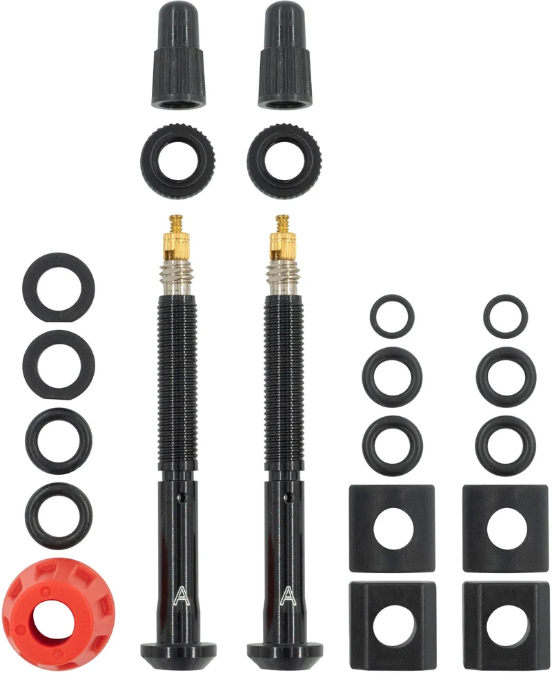 SRAM tire valves for TyreWiz 2.0