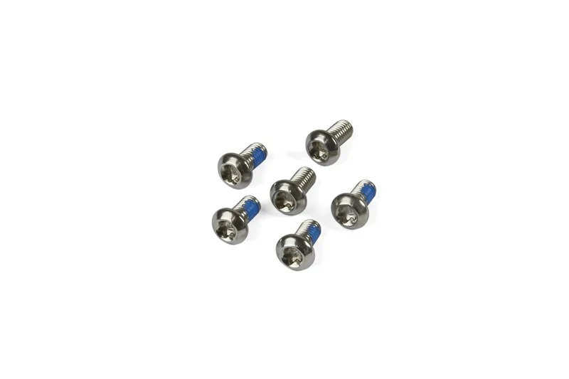 Hope M5 X 10 Torx Head Screw Steel 6 Off