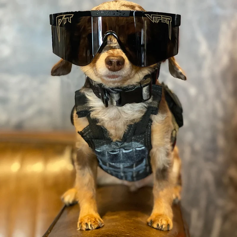 Glasses Pit Viper The Black Ops 2000's