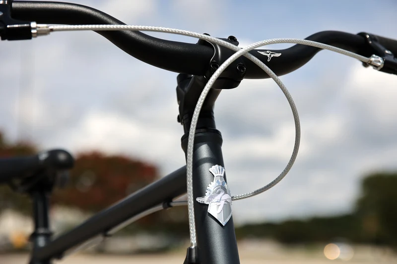 Fairdale Express singlespeed urban bike