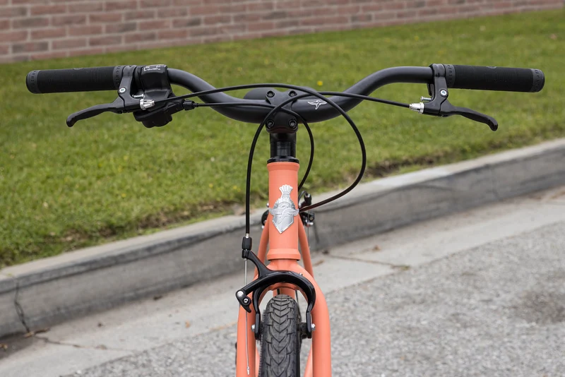 Fairdale Lookfar Step-Thru 8-Speed Urban Bike