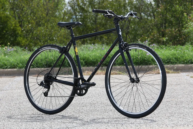 Fairdale Lookfar 8-speed urban bike