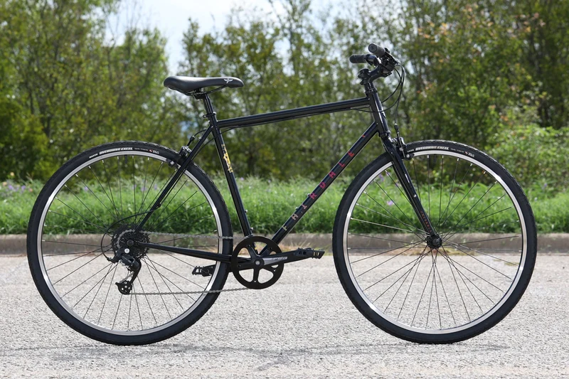 Fairdale Lookfar 8-speed urban bike