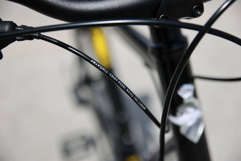 Fairdale Lookfar 8-speed urban bike