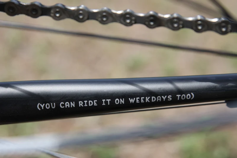 Fairdale Weekender Archer mountain bike