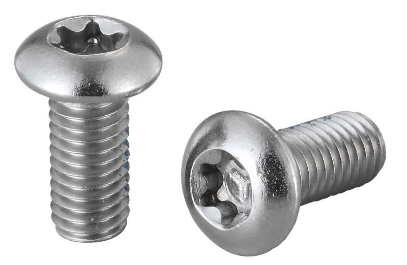 Vis de disque inox x100 Elvedes