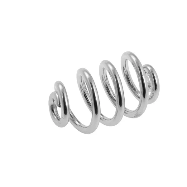 Brooks saddle spring