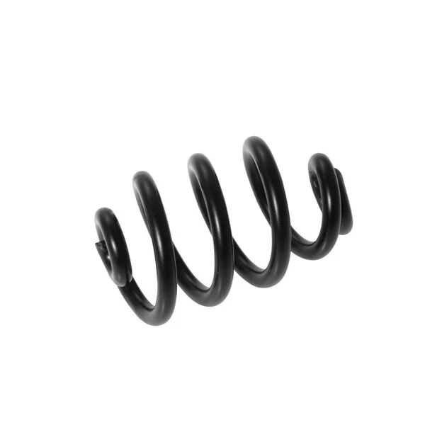 Brooks saddle spring