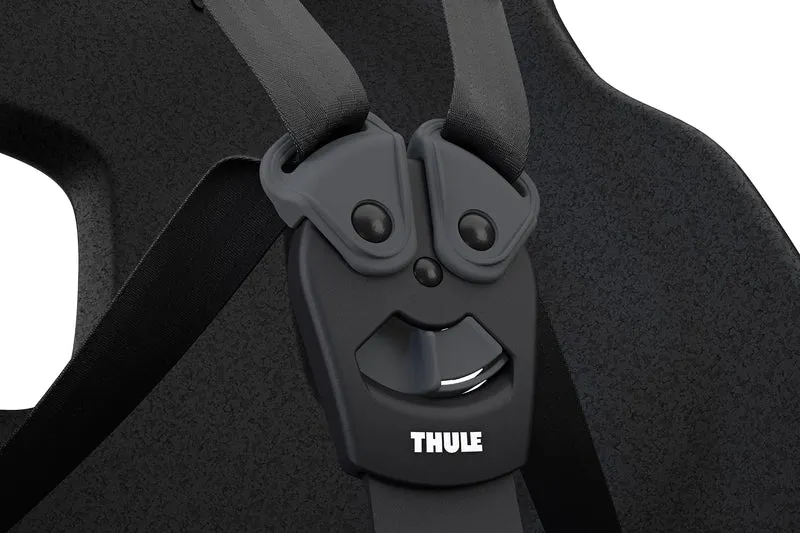 Thule Yepp Nexxt 2 Maxi child bike seat