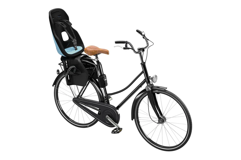 Thule Yepp Nexxt 2 Maxi child bike seat