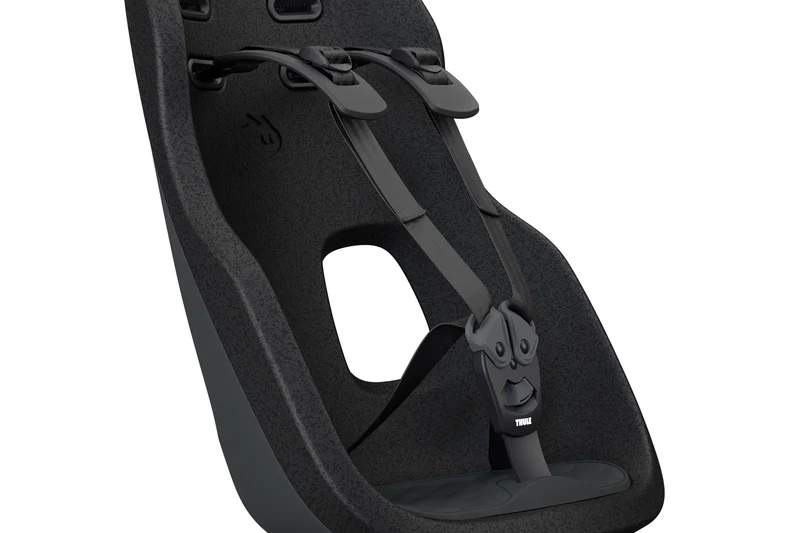 Thule Yepp Nexxt 2 Maxi child bike seat