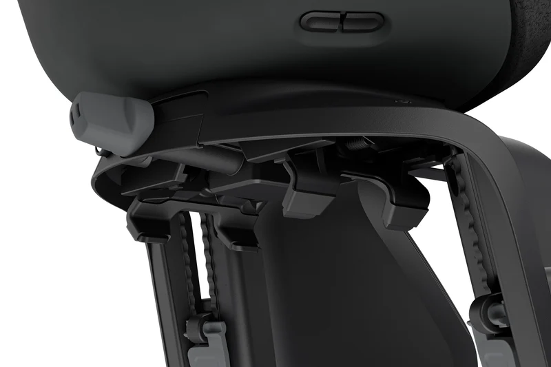 Thule Yepp Nexxt 2 Maxi child bike seat