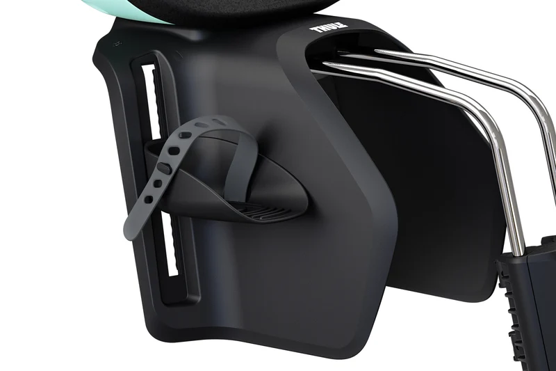 Thule Yepp Nexxt 2 Maxi child bike seat