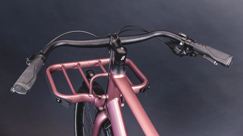 Schindelhauer Gustav Moonlight Rose Limited Edition Urban Cargo Bike