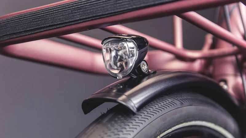 Schindelhauer Gustav Moonlight Rose Limited Edition Urban Cargo Bike