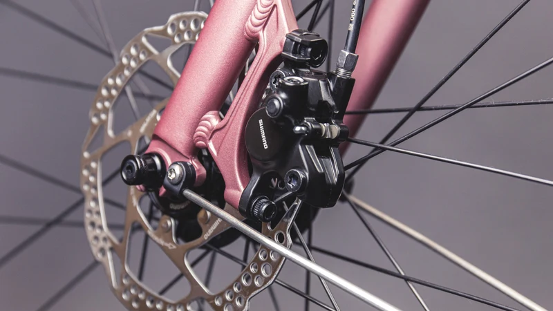 Schindelhauer Gustav Moonlight Rose Limited Edition Urban Cargo Bike