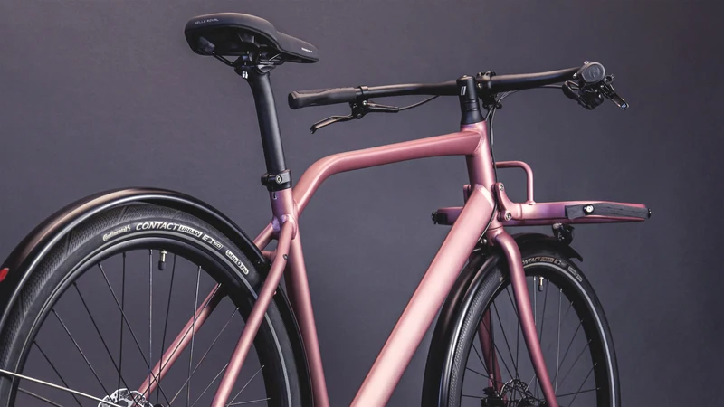 Schindelhauer Gustav Moonlight Rose Limited Edition Urban Cargo Bike