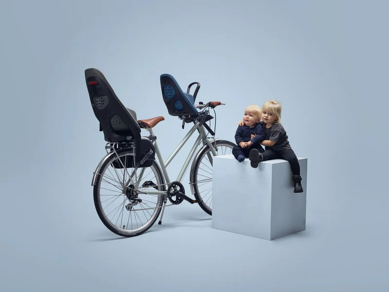 Thule Yepp 2 Maxi child bike seat