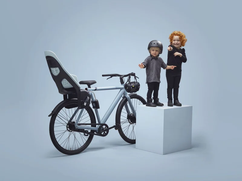 Thule Yepp 2 Maxi child bike seat