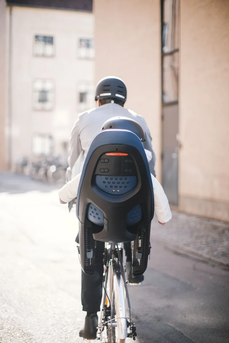 Thule Yepp 2 Maxi child bike seat
