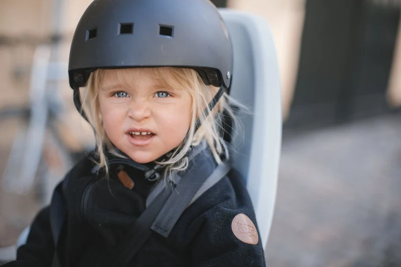 Thule Yepp 2 Maxi child bike seat