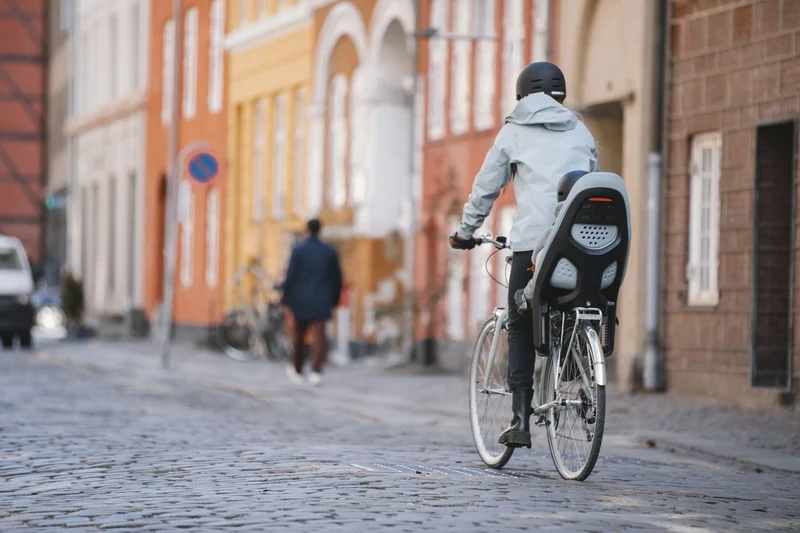 Thule Yepp 2 Maxi child bike seat